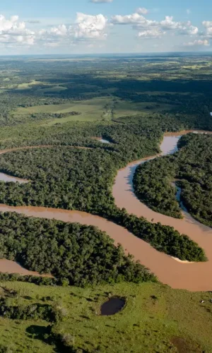 202305manacaciasfotosluisbernardocano